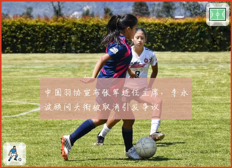 中国羽协宣布张军连任主席,李永波顾问头衔被取消引发争议